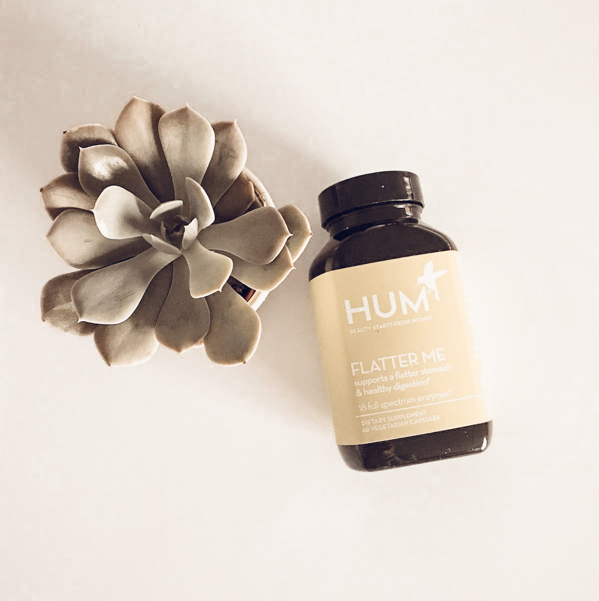 Travel must haves hum nutrition