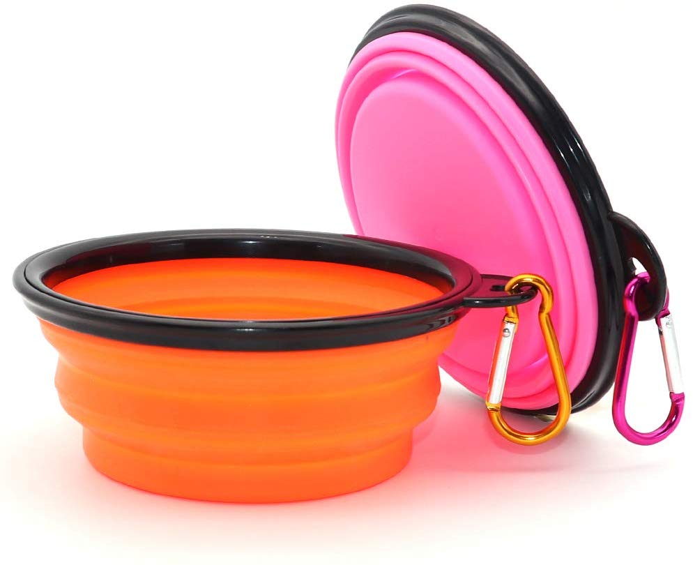 Collapsible Dog Bowl Dog Mom Guide