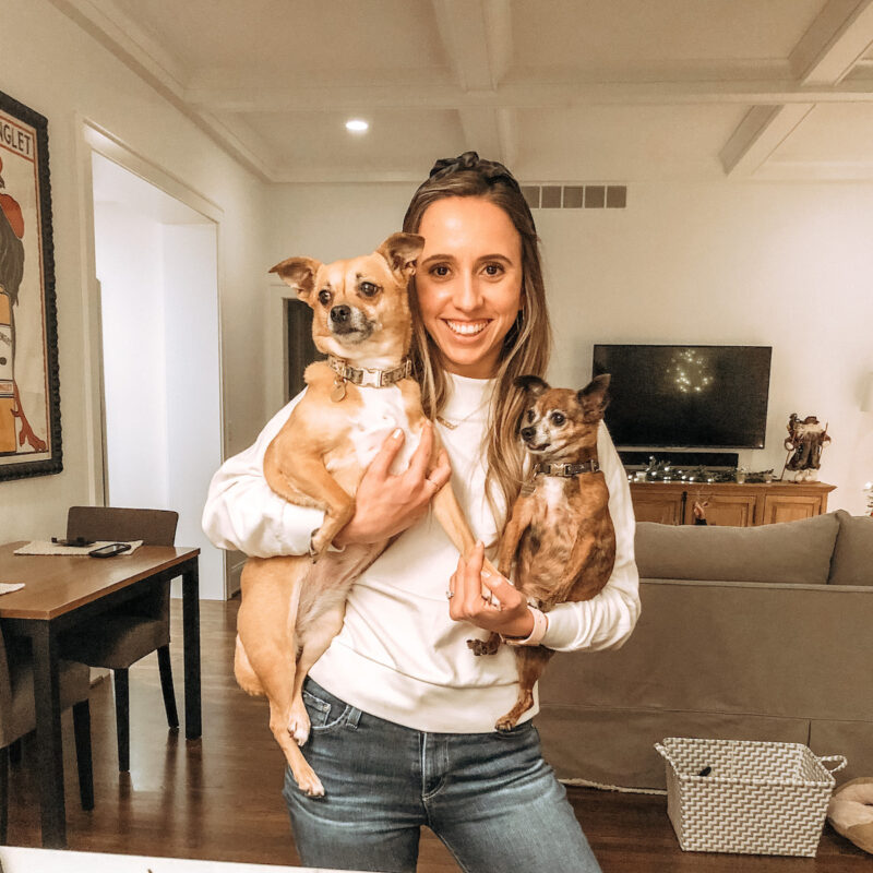 dog mom guide uncover the glow