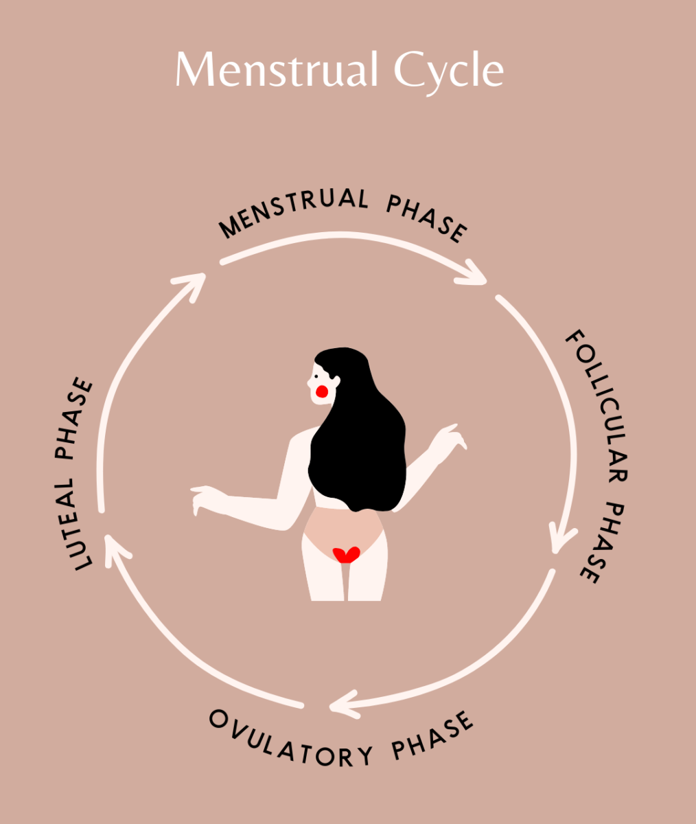 Cycle Sync Workouts: Luteal & Follicular Phases